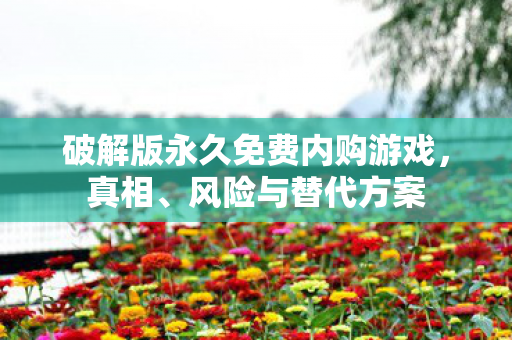 破解版永久免费内购游戏，真相、风险与替代方案