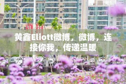 黄鑫Eliott微博图片