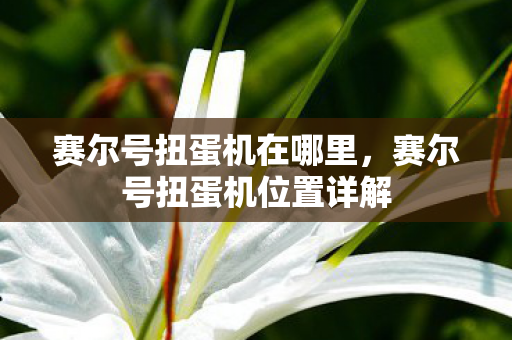 赛尔号扭蛋机位置详解图片