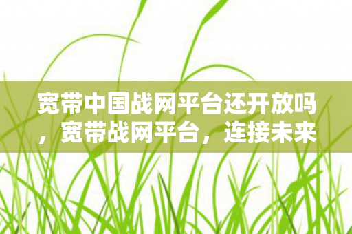 宽带中国战网平台还开放吗图片