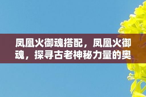 凤凰火御魂搭配，凤凰火御魂，探寻古老神秘力量的奥秘