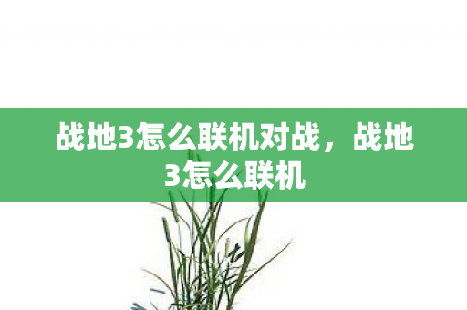 战地3怎么联机对战图片
