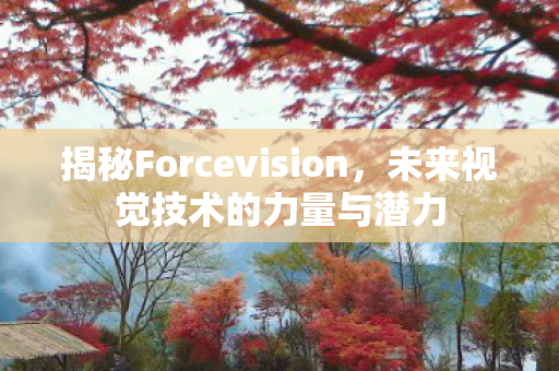 揭秘Forcevision，未来视觉技术的力量与潜力