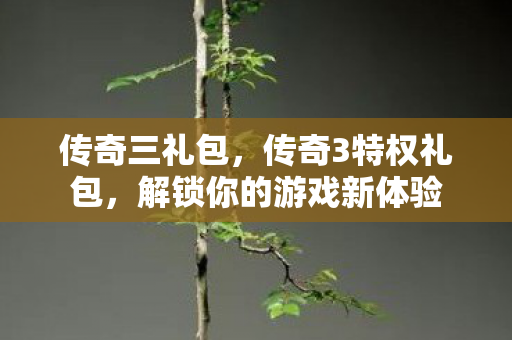 传奇三礼包，传奇3特权礼包，解锁你的游戏新体验