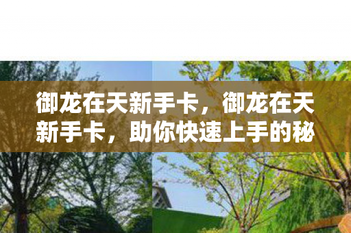 御龙在天新手卡，御龙在天新手卡，助你快速上手的秘籍