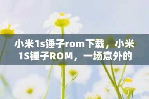 小米1s锤子rom下载，小米1S锤子ROM，一场意外的邂逅