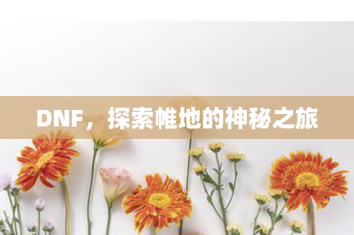 DNF,探索帷地的神秘之旅 DNF,探索帷地的神秘之旅