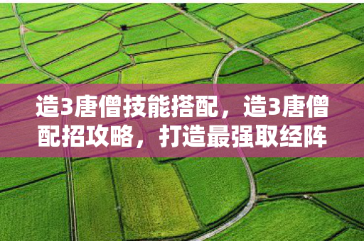 造3唐僧技能搭配,造3唐僧配招攻略,打造最强取经阵容 造3唐僧技能搭配,造3唐僧配招攻略,打造最强取经阵容