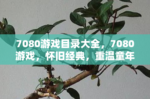 7080游戏目录大全，7080游戏，怀旧经典，重温童年