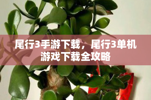尾行3手游下载，尾行3单机游戏下载全攻略