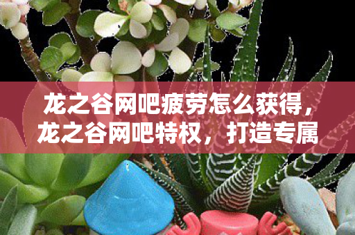 龙之谷网吧疲劳怎么获得，龙之谷网吧特权，打造专属游戏体验，尽享游戏乐趣