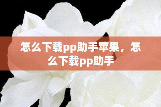 怎么下载pp助手苹果，怎么下载pp助手