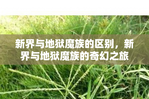 新界与地狱魔族的区别，新界与地狱魔族的奇幻之旅