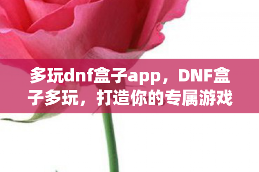 多玩dnf盒子app，DNF盒子多玩，打造你的专属游戏世界