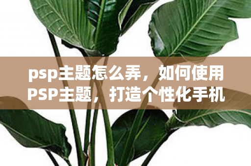 psp主题怎么弄,如何使用PSP主题,打造个性化手机界面 psp主题怎么弄,如何使用PSP主题,打造个性化手机界面