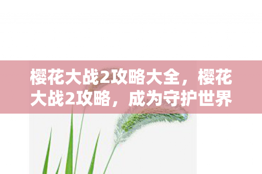 樱花大战2攻略大全，樱花大战2攻略，成为守护世界的英雄