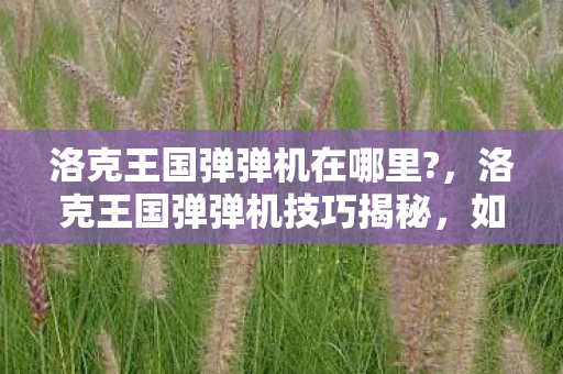 洛克王国弹弹机在哪里?，洛克王国弹弹机技巧揭秘，如何成为弹弹机高手？