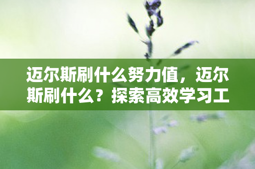 迈尔斯刷什么努力值，迈尔斯刷什么？探索高效学习工具与策略