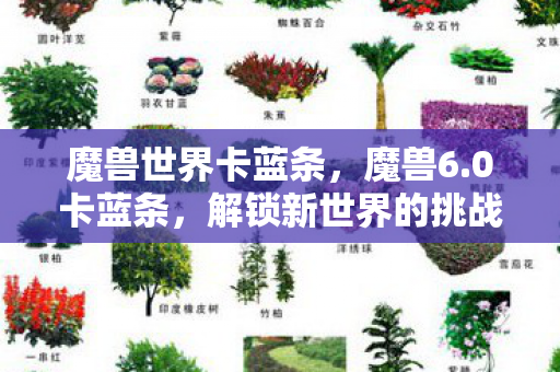 魔兽世界卡蓝条，魔兽6.0卡蓝条，解锁新世界的挑战与机遇