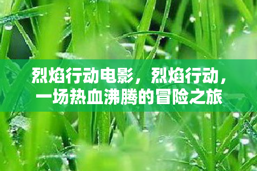 烈焰行动电影，烈焰行动，一场热血沸腾的冒险之旅