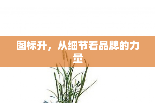 从细节看品牌的力量图片