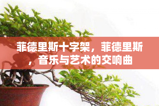 音乐与艺术的交响曲图片