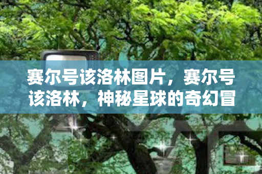 神秘星球的奇幻冒险图片