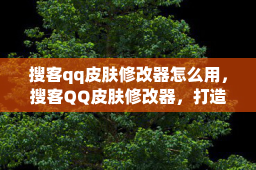 搜客qq皮肤修改器怎么用图片