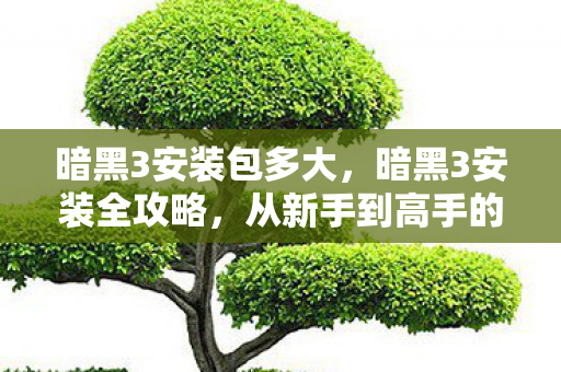 从新手到高手的详细步骤图片