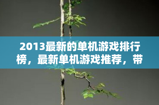 2013最新的单机游戏排行榜，最新单机游戏推荐，带你领略2013年游戏巅峰之作