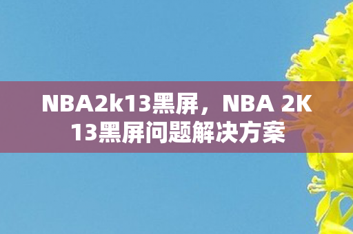 NBA 2K13黑屏问题解决方案图片