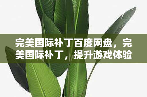 提升游戏体验的必备利器图片