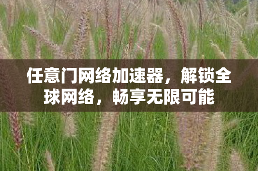 任意门网络加速器图片