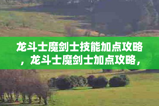 龙斗士魔剑士技能加点攻略图片