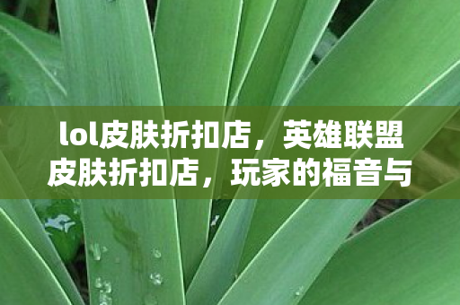 lol皮肤折扣店，英雄联盟皮肤折扣店，玩家的福音与购物指南