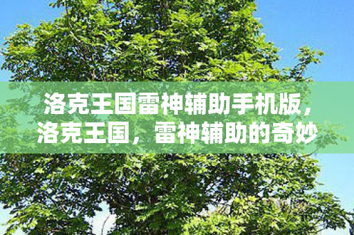 洛克王国雷神辅助手机版图片