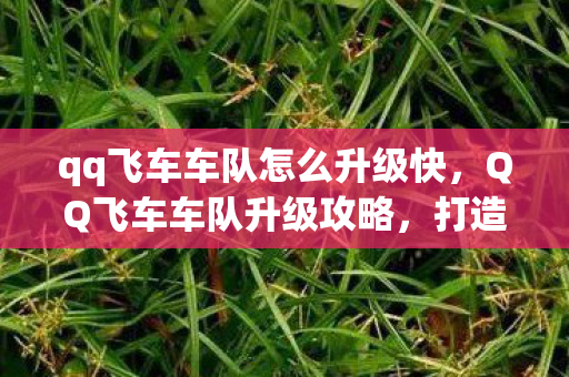 qq飞车车队怎么升级快图片