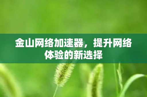 金山网络加速器，提升网络体验的新选择