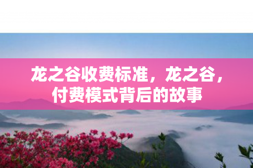龙之谷收费标准，龙之谷，付费模式背后的故事