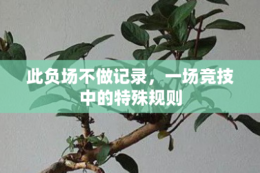 此负场不做记录，一场竞技中的特殊规则