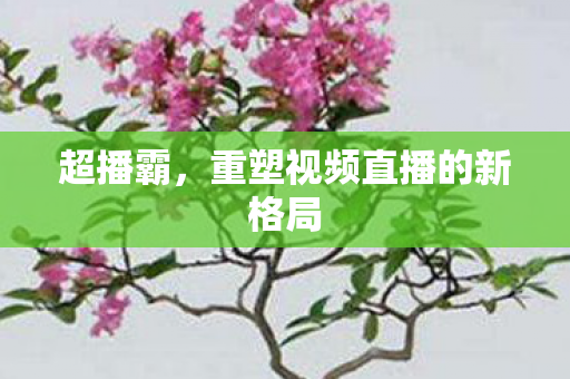 超播霸，重塑视频直播的新格局