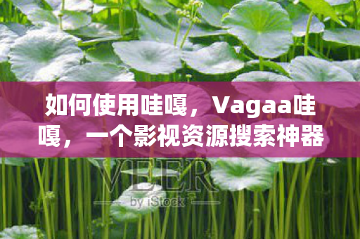 如何使用哇嘎，Vagaa哇嘎，一个影视资源搜索神器