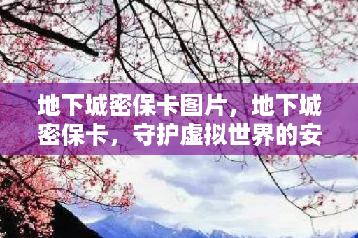 地下城密保卡图片，地下城密保卡，守护虚拟世界的安全卫士