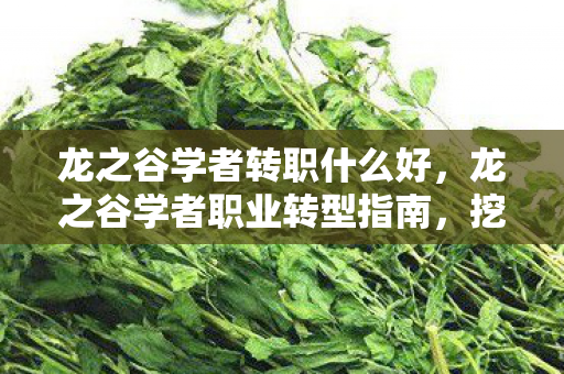龙之谷学者转职什么好，龙之谷学者职业转型指南，挖掘你的学术潜能