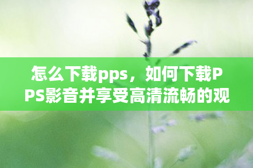 怎么下载pps，如何下载PPS影音并享受高清流畅的观影体验