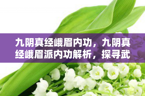 九阴真经峨眉内功，九阴真经峨眉派内功解析，探寻武侠世界的奥秘