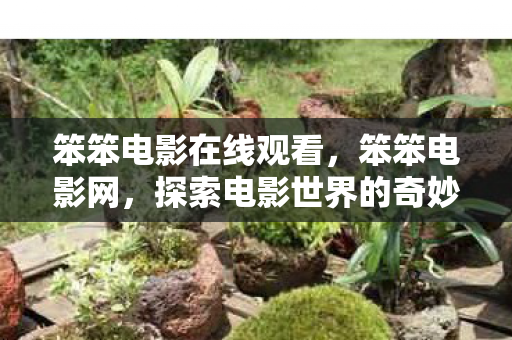 笨笨电影在线观看，笨笨电影网，探索电影世界的奇妙之旅