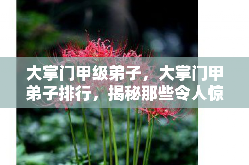 大掌门甲级弟子,大掌门甲弟子排行,揭秘那些令人惊艳的弟子们 大掌门甲级弟子,大掌门甲弟子排行,揭秘那些令人惊艳的弟子们
