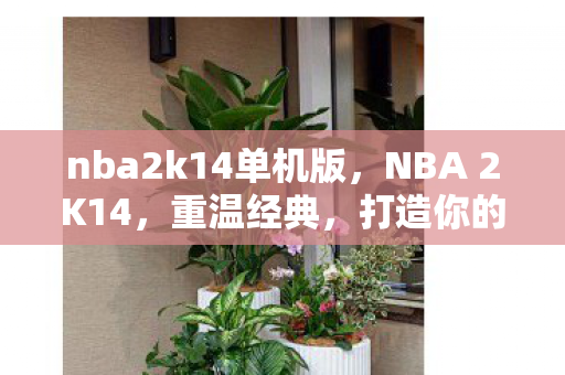 nba2k14单机版，NBA 2K14，重温经典，打造你的梦幻阵容