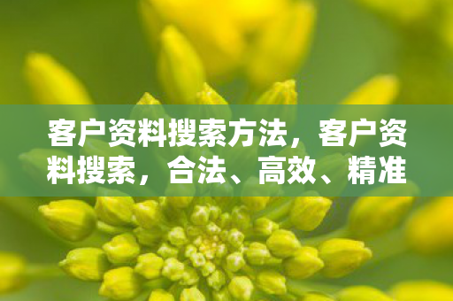 客户资料搜索方法，客户资料搜索，合法、高效、精准的策略